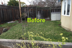 California-lawn-removal