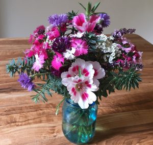 Pink and white clarkias and dianthus, purple bachelor buttons and white yarrow bouquet in a blue glass jar